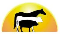 Создание высокопродуктивных племенных стад
